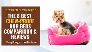 There's no point in having an indestructible dog bed frame if you still have to keep replacing the dog bed cover, sheets, and pillows! The 8 Best Indestructible Chew Proof Dog Beds 2021 Reviews