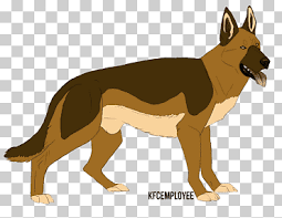 Krypto poses as an old firehouse dalmatian in hopes of helping the aging dog keep his job. German Shepherd Dog Breed Kunming Wolfdog Line Art Puppy Mammal Animals Carnivoran Png Klipartz