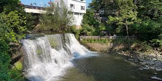Use our mortgage resources and organized information to help you find the current chagrin falls mortgage rates, home loans. Pet Friendly Hotels In Beechwood Ohio Hotel Indigo Cleveland Beachwood