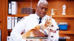 Gray star mutual ] aww cheddar is the cutest! Sad Day Cheddar Is No More Album On Imgur