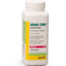 Amoxicillin 1800petmeds