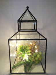 Led Fairy Light Terrarium Glass Terrarium Led Fairy Lights Terrarium