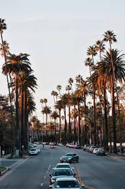 We did not find results for: 100 Beverly Hills Pictures Hd Download Free Images On Unsplash