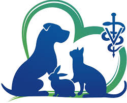 Maybe you would like to learn more about one of these? Animal Hospital In Marlton Nj County Line Veterinary Hospital