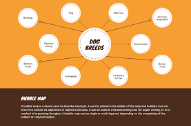 Free Online Bubble Map Maker Design A Custom Bubble Map In Canva
