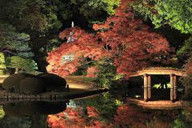 8 Gorgeous Autumn Foliage Spots In And Near Tokyo Savvy Tokyo Garden Illustration Japanese Garden Drought Tolerant Landscape