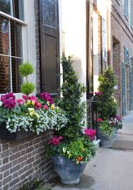 Your box charleston window stock images are ready. Beautiful And Blooming Window Boxes Of Charleston Beautiful Flowers Window Boxes Window Box Flowers