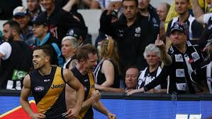Maybe you would like to learn more about one of these? Dustin Martin Shouldn T Be Punished For His Gesture To Fans Says Mark Robinson Herald Sun