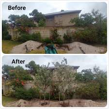 Khemani l., srivastava m., srivastava s. Trees Sa Hedge Screening Trees For Privacy And Security