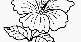 Apalagi dengan standar lamaran ada yang memilih melamar kekasihnya dengan biaya fantastis yaitu dengan memasang reklame raksasa di pinggir jalan raya, ada juga. Paling Bagus 25 Gambar Pokok Bunga Hitam Putih Gambar Bunga Indah