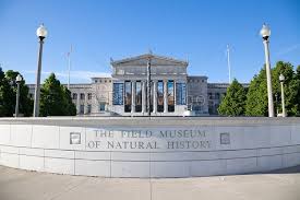 Field Museum Chicago Used To Draw Here With Class In Art School Field Museum Chicago Best Cities Field Museum