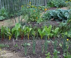 How to start a vegetable garden for beginners. How To Start A Vegetable Garden Fast And On A Budget