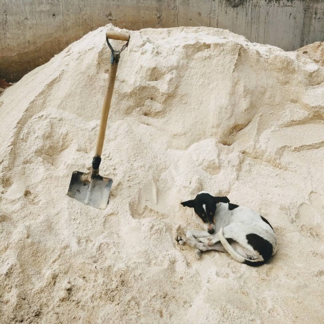 Dust product image