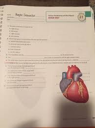 The heart is a muscle, and its overall function is to pump blood through the circulatory system of the body consistently. Solved The Apex Of The Heart Is Formed By The A Right At Chegg Com