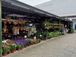 Includes a clovers garden copyrighted plant care. Happy Sweet Garden Seremban 2 About Facebook
