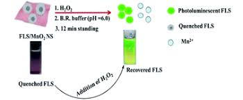 H2o for water and h2o2 for hydrogen peroxide; One Pot Fabrication Of Fluorescein Functionalized Manganese Dioxide For Fluorescence Turn Off On Sensing Of Hydrogen Peroxide In Water And Cosmetic Samples Rsc Advances Rsc Publishing