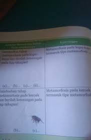 Kunci jawaban lks ipa kelas 8 semester 1 guru ilmu sosial. Ipa Hal 104 Tabel 2 10 Kelas 9 Semester 1 No 3 Sama 4 Brainly Co Id