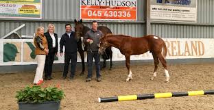 HSI Foal Championship Qualifier Results from CoilÓg Equestrian Centre