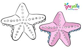 Download and print these of sea animals coloring pages for free. Free Printable Sea Animals Toddler Coloring Page Belarabyapps