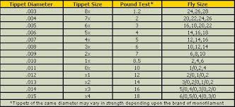 fly set up question tippets