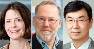 Tagged Results: medicine