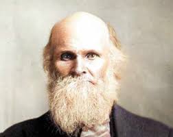 John Thomas Covington