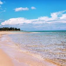 10 Beaches That Will Make You Want To Visit The Great Lakes Immediately Michigan Beaches Michigan Vacations Michigan Travel