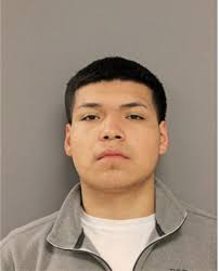 ᐅ Illinois Criminal Records 2009-2025