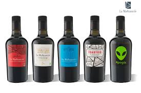 Consultez Ce Projet Behance U201cpackshots U201d Https Www Behance Net Gallery 49186335 Packshots Wine Bottle Red Wine Alcoholic Drinks