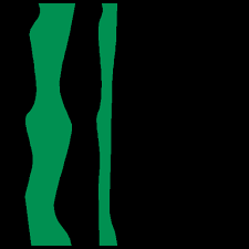 Catálogo Subgraduado 2020-2021 editado 4 dic 20