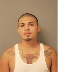 ᐅ Illinois Criminal Records 2009-2025