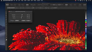 I do not know what include your document and what is your document layer settings. Coreldraw Graphics Suite 2021 V23 1 0 389 X64 With Crack Full