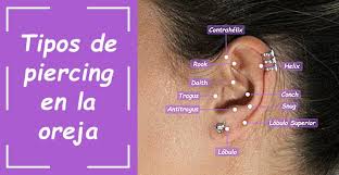 We did not find results for: Tipos De Piercing En La Oreja Blog Taffeit