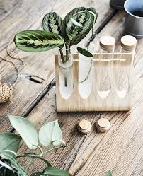 Pflanzen Selber Ziehen Tipps Kunstpflanzen Ikea Pflanzen Kunstliche Pflanzen Im Freien