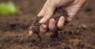 Maybe you would like to learn more about one of these? Bodenarten Gartenerde Und Problemboden Wohnnet At