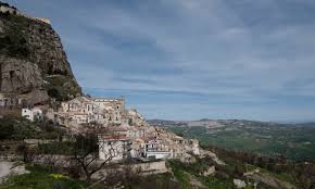 Image result for Sutera debilis