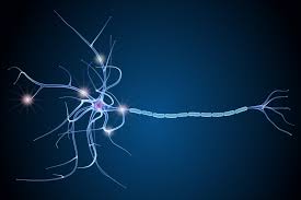 Jul 29, 2021 · la esclerosis múltiple, la sarcoidosis, la enfermedad celíaca y otras afecciones autoinmunes pueden causar ataxia. Muchos Casos De Esclerosis Multiple Serian Mal Disgnosticados Nacion Farma Salud Y Medicina Para Todos Nacion Farma Salud Y Medicina Para Todos