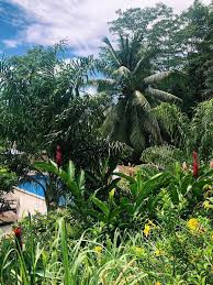 Apakah taman eden memang ada? Eden Hills Residence Anse Boileau Harga Terbaru 2021