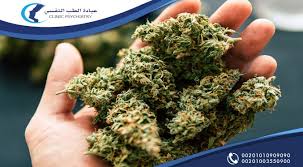 المقطع التالى مهم جدا جدا. Ø§Ù„Ø§Ø³ØªØ±ÙˆÙƒØ³ ÙƒÙŠÙ ÙŠØ¹Ù…Ù„ Ø§Ù„Ø§Ø³ØªØ±ÙˆÙƒØ³ ÙÙŠ Ø¸Ù„ ÙˆØ¬ÙˆØ¯ Ø§Ù„Ø¹Ø¯ÙŠØ¯ Ù…Ù† Ø§Ù„Ù…ÙˆØ§Ø¯ Ø§Ù„ÙƒÙŠÙ…ÙŠØ§Ø¦ÙŠØ© Ø§Ù„ØªÙŠ ØªØ¯Ø®Ù„ ÙÙŠ ØªØµÙ†ÙŠØ¹ Ø§Ù„Ø§Ø³ØªØ±ÙˆÙƒØ³ ÙØ§Ù† Ù…Ø§ ÙŠÙ†Ø¬Ù… Ø¹Ù†Ù‡Ø§ Ù‡Ùˆ Ø²ÙŠØ§Ø¯Ø© ÙÙŠ Ø­Ø§Ù„ Herbs Psychiatry Cannibas