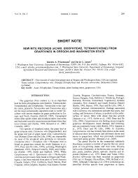 Image result for Tetranychidae grapevine