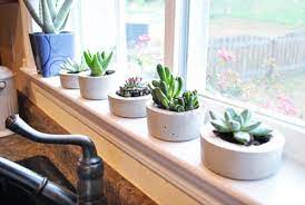 See more ideas about planters, outdoor gardens, cement planters. Diy Cement Indoor Planters Shelterness