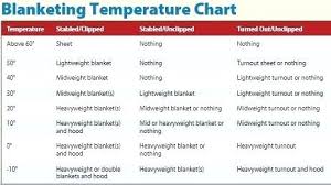 Horse Blanket Chart Tacomexboston Com