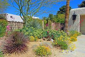 Check spelling or type a new query. Creating Your Desert Oasis Finding Plants That Dig Southern Nevada Nevada Housing Division