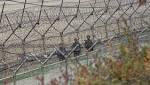 look Americans have been detained