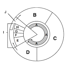 Https Www Dvusd Org Cms Lib011 Az01901092 Centricity Domain 2924 Mitossipracticekey Pdf