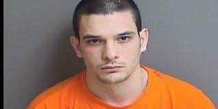 Indianola man allegedly resists officers, breaks squad car window with head