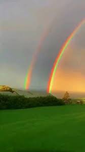 We believe that the quality of a student should be trained and shaped from young age. Imma 5524 Imma5 Profil Pinterest