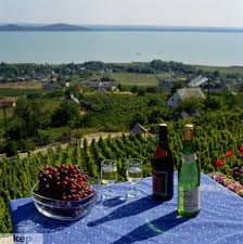 Badacsony Badplaats Aan Het Balatonmeer In Hongarije Maar Ook Zeer Bekend In Een Prachtige Wijnregio Balaton Budapest Hungary Capital Of Hungary