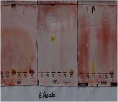 Image result for Stomatostemma monteiroae