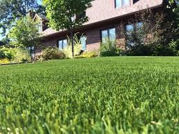 Amenagement Gazon Synthetique A Montreal Et Quebec Gsq En 2020 Gazon Synthetique Gazon Amenagement Jardin